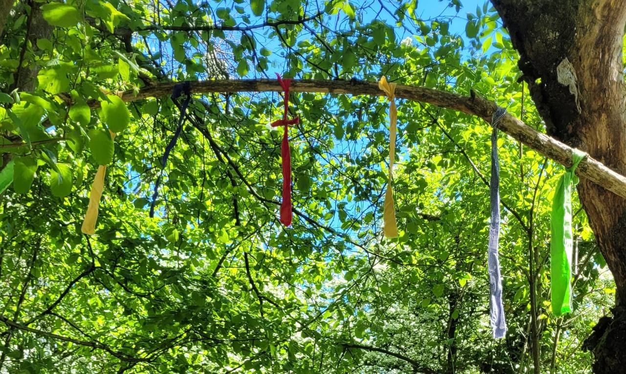 Bänder im Baum im Schamanen Garten